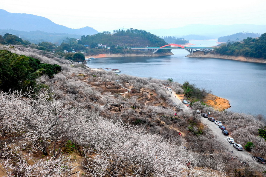 流溪香雪 摄影 峡山