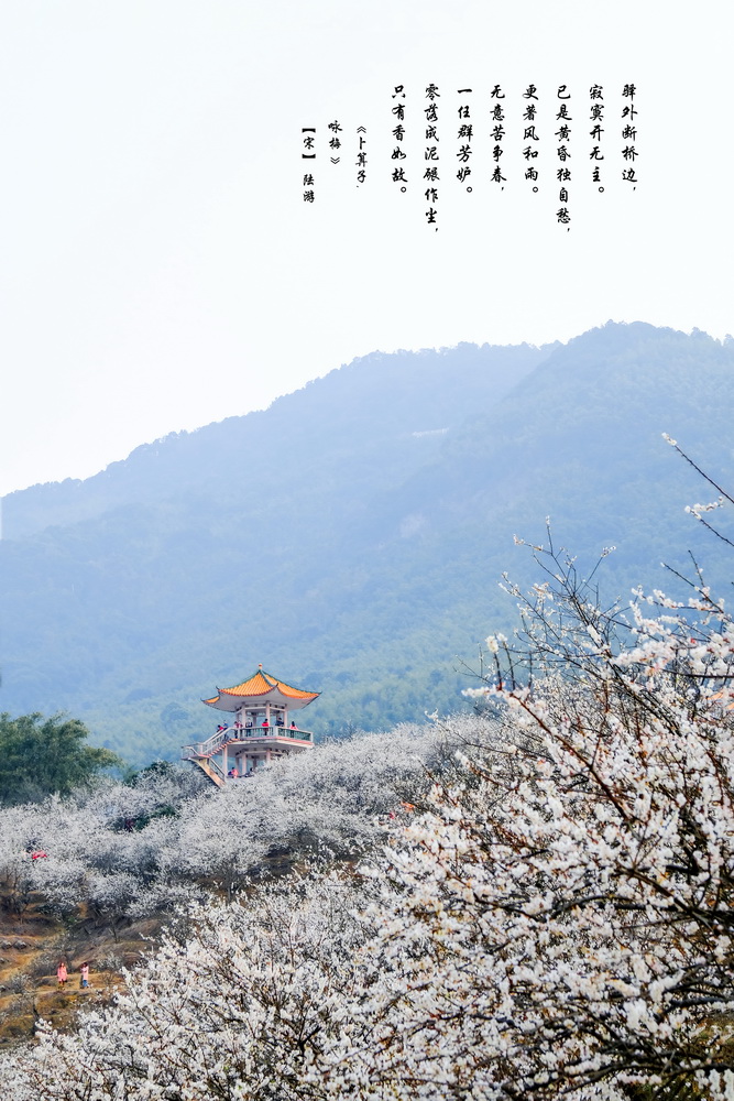 梅岭秀色 摄影 峡山