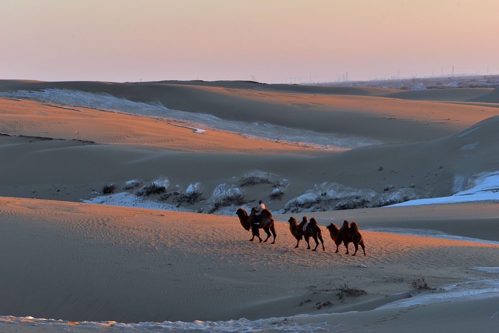 牧归 摄影 夕阳红2007