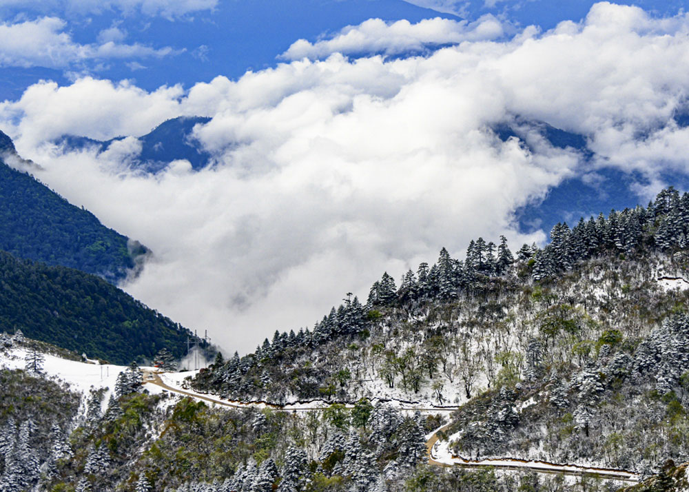 春雪图 摄影 大山风