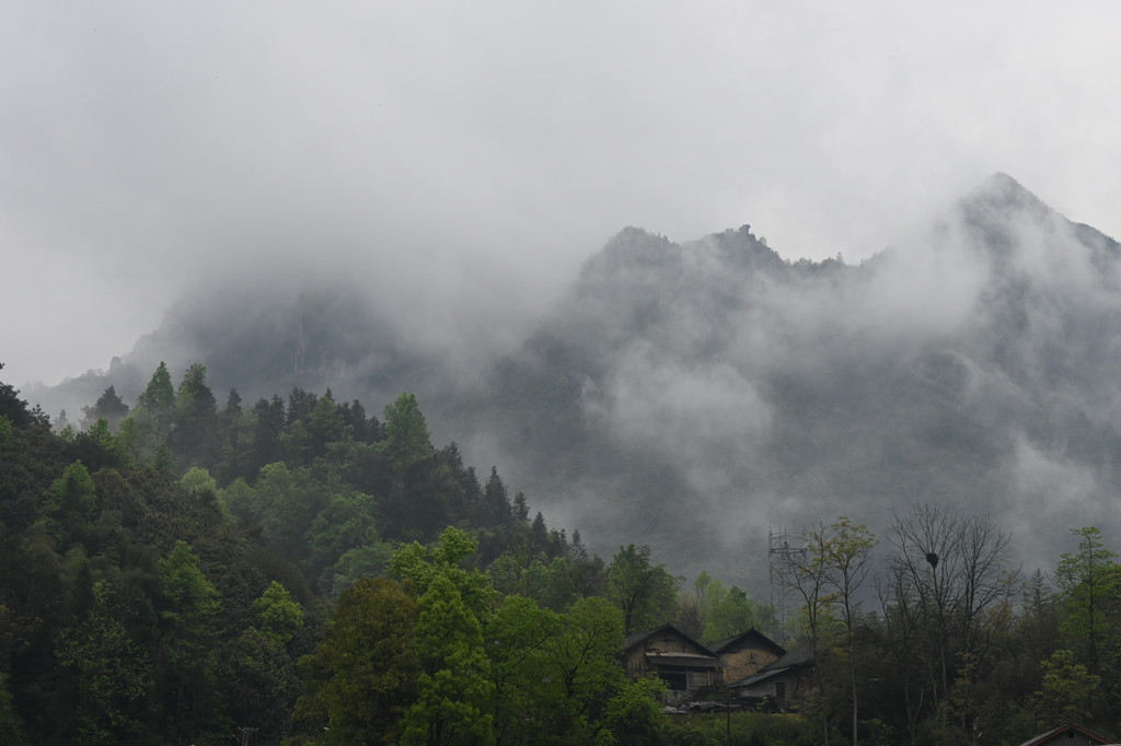 烟雨苗寨5 摄影 观光景景