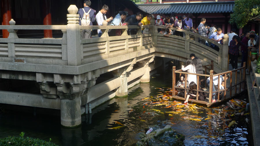 苏州枫桥景区 摄影 飘逸越洋