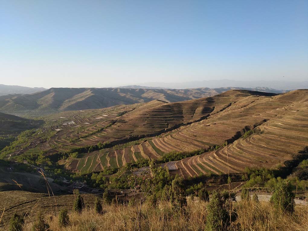 初春 大墩岭梯田 摄影 远方的家园