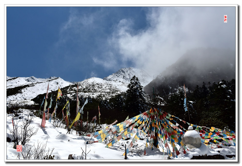 雪山 摄影 lanqingyin