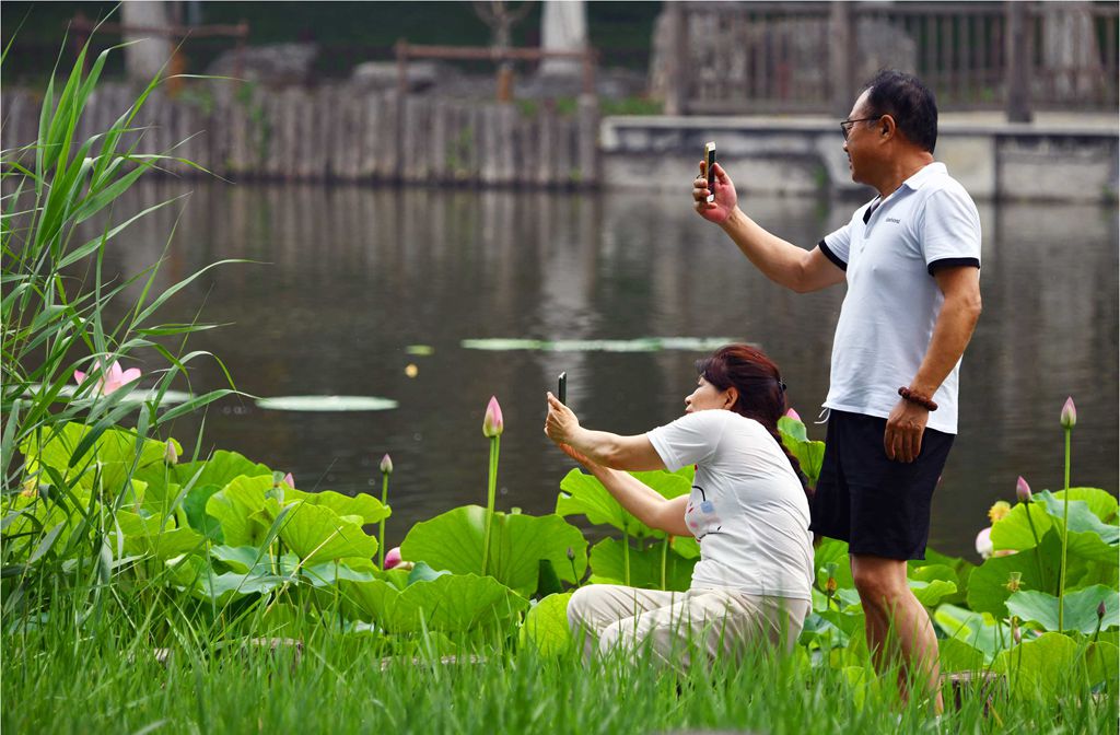 夏天的故事 摄影 yongli