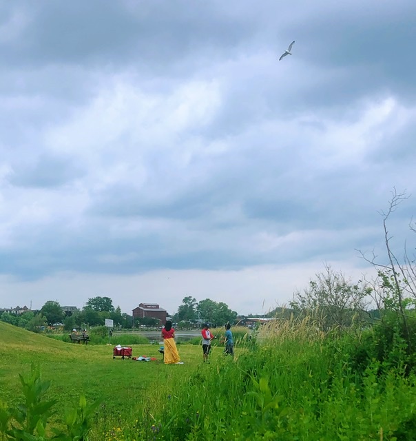 夏雨预来 摄影 一介寒生