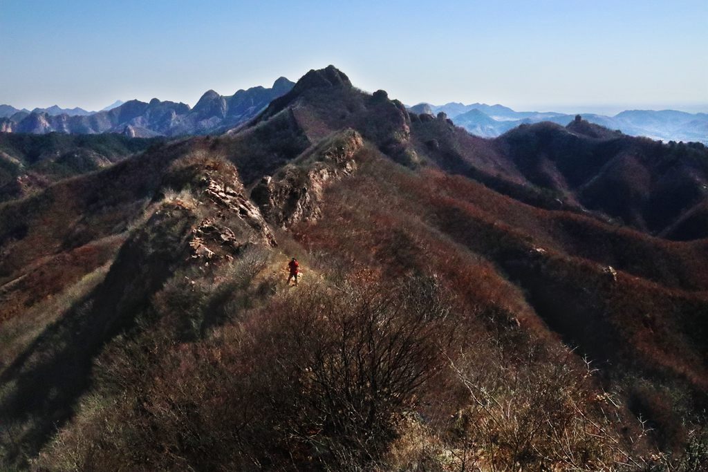 深山孤摄 摄影 长焦微距