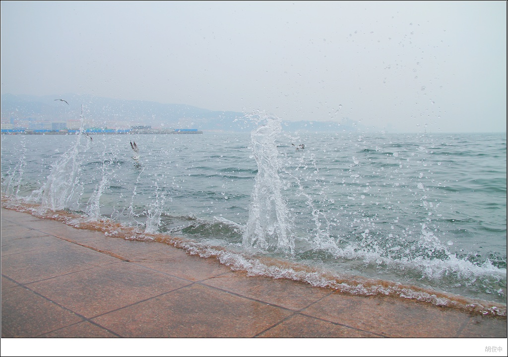 海浪花 摄影 胡俊中