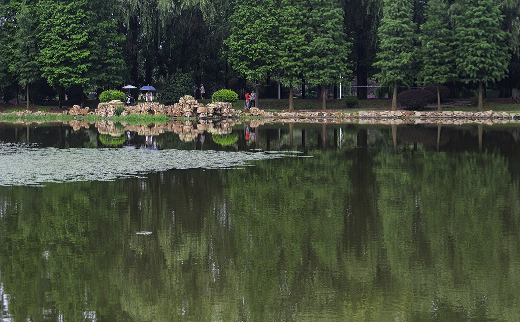 夏天记忆7 摄影 湘麓