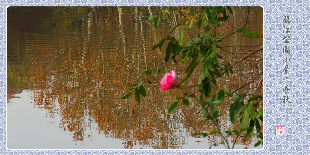 臨江公園小景·夢秋 摄影 丙戌八月