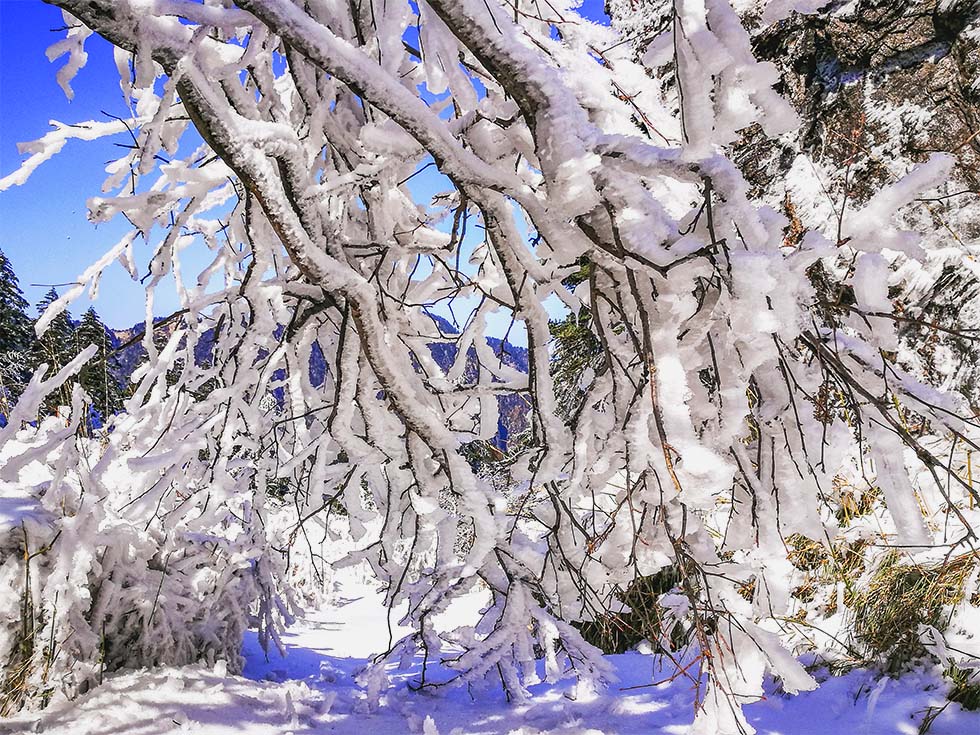 神农架冰雪 摄影 于搏