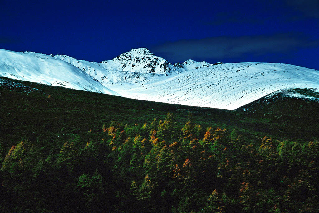 白马雪山 摄影 大巴板人