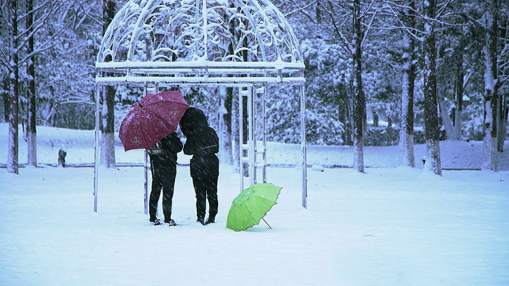 瑞雪丰年 摄影 湘麓