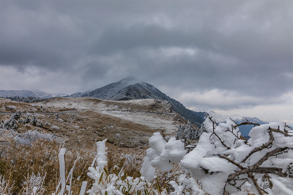 迷人淌雪 摄影 于搏