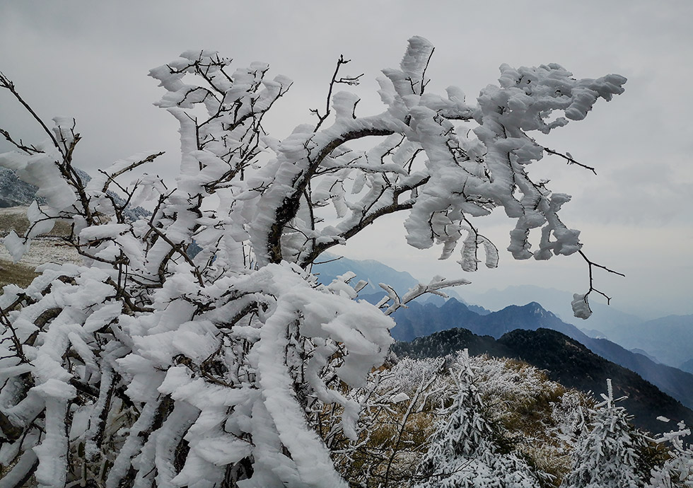 冬季赏雪 摄影 于搏