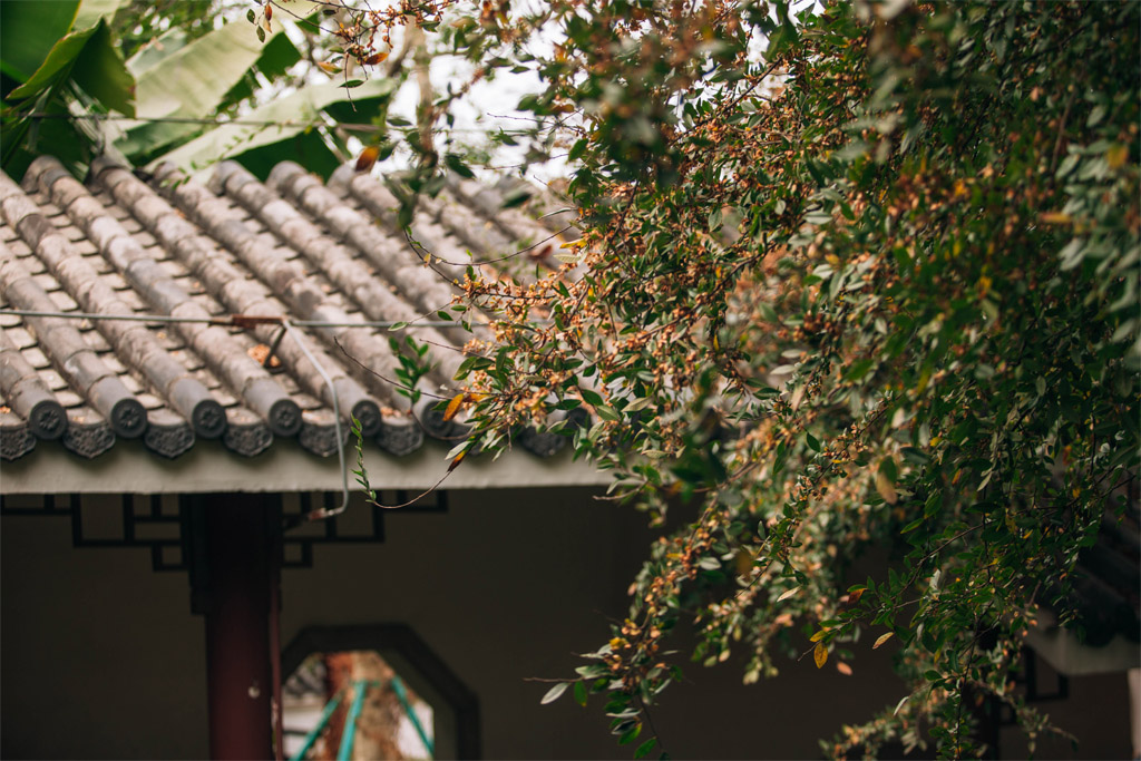 幽静庭院 摄影 笨鸟后肥