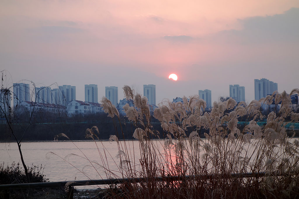 运河夕阳 摄影 大巴板人