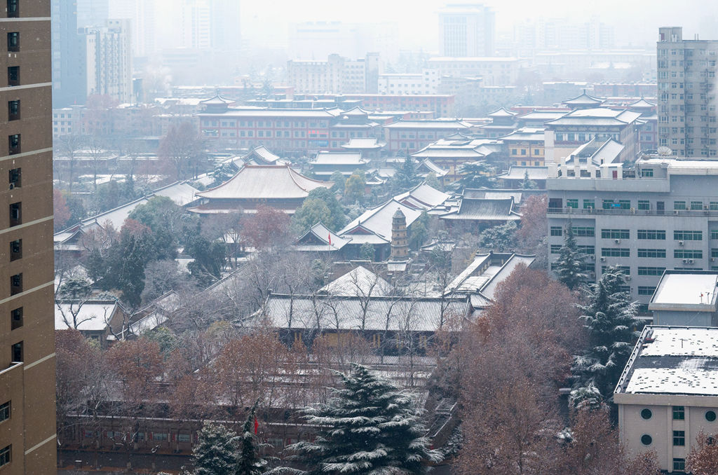 春雪 摄影 耍不够