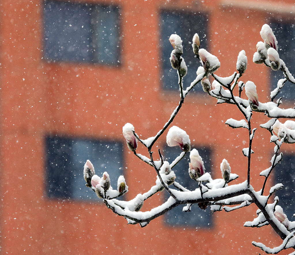 京城三月雪2 摄影 三人