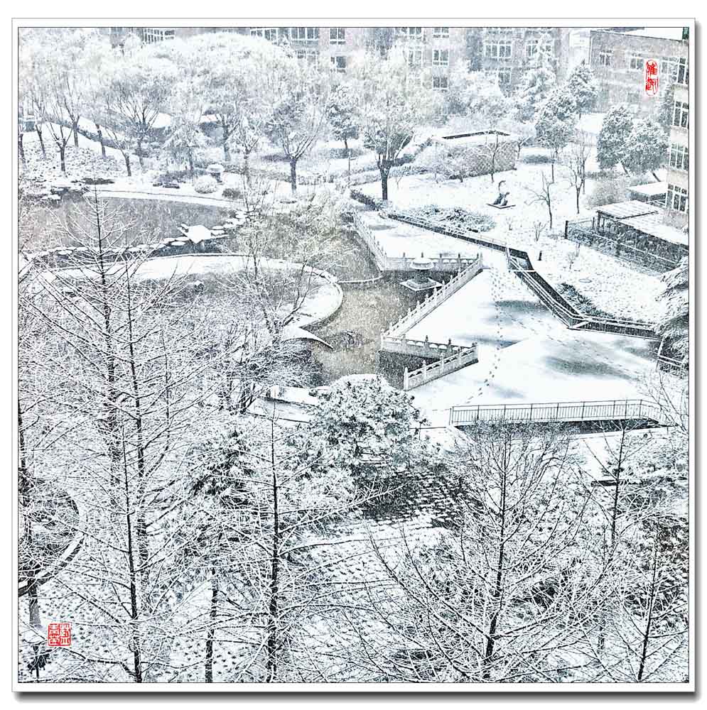 雪景2 摄影 lanqingyin