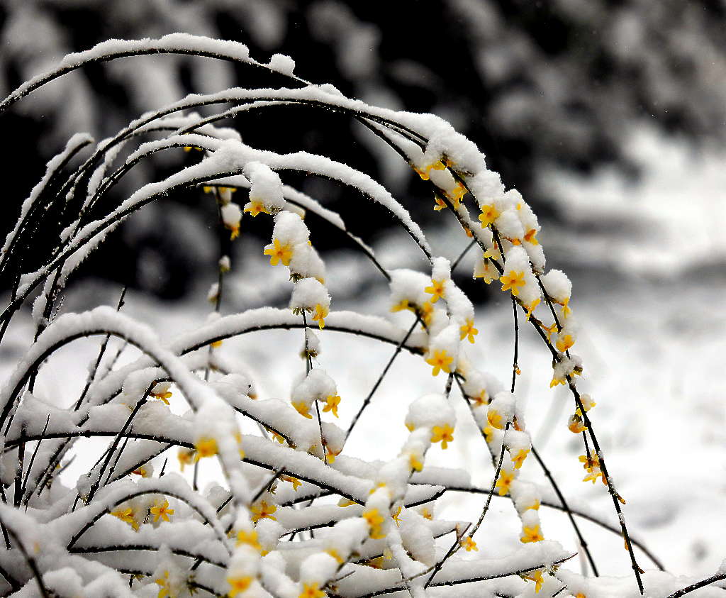 京城三月雪3 摄影 三人