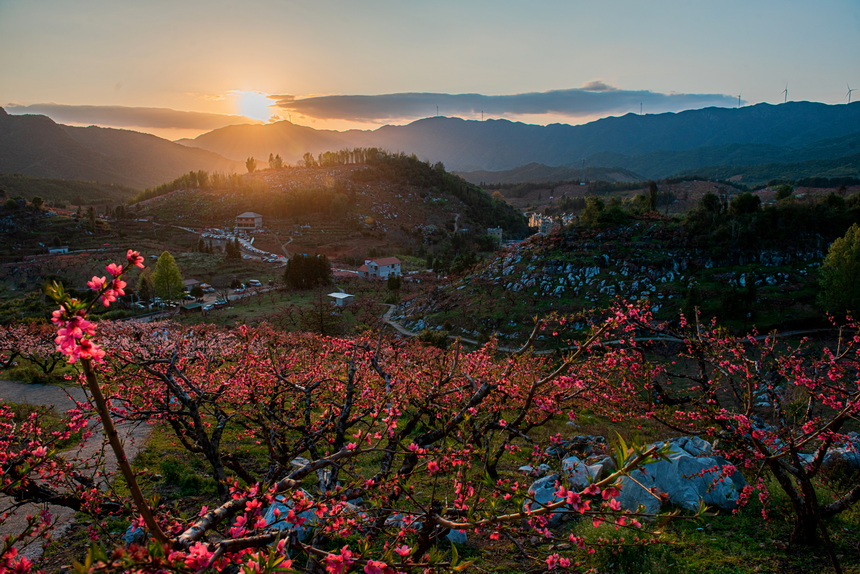 桃园夕照 摄影 峡山