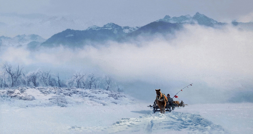 瑞雪兆丰年 摄影 江苏老李