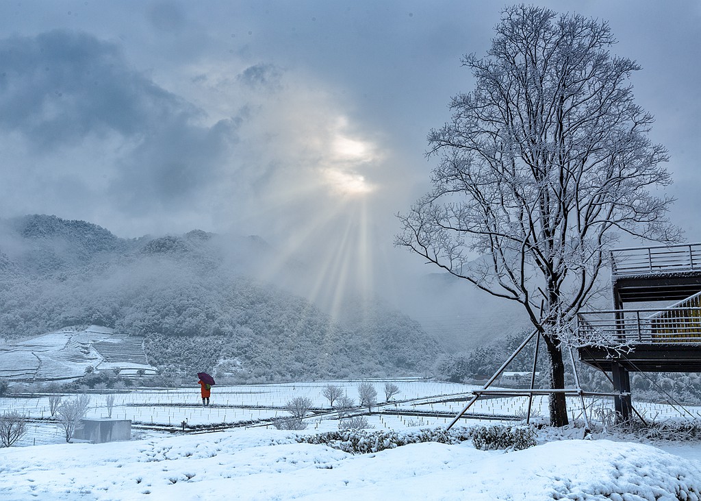 今年的春雪《1》 摄影 上虞鲁班