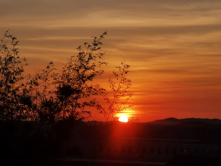 夕阳 摄影 凉凉