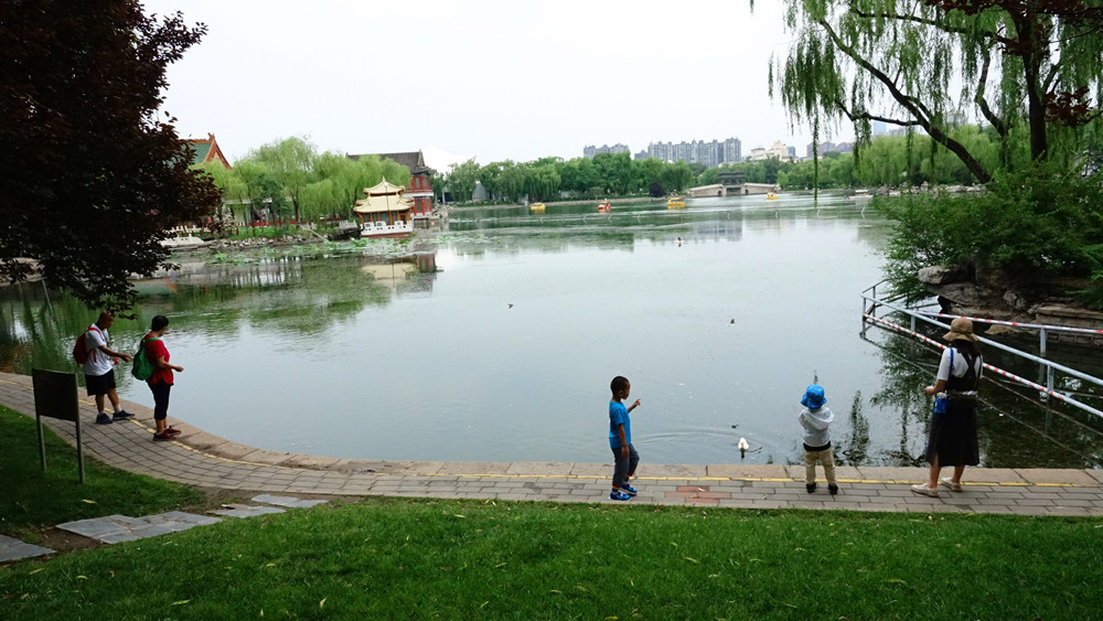 夏日时光——龙潭湖畔 摄影 丘山皓月