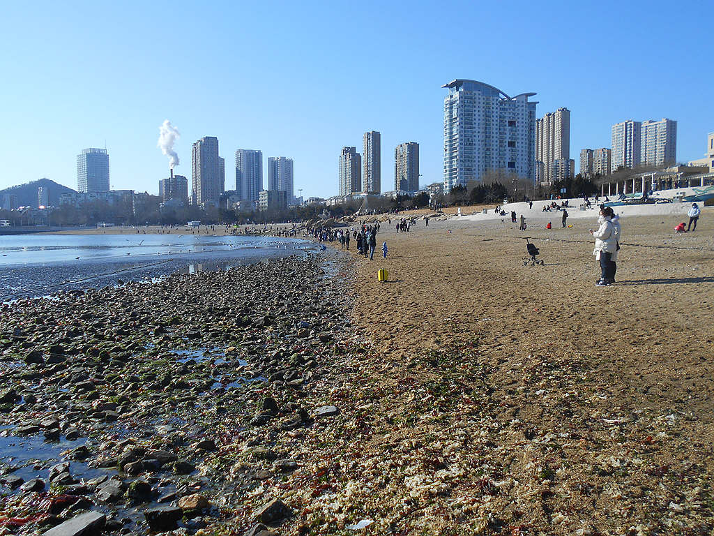 海边 摄影 诗捷