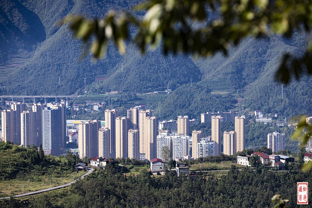 山城 摄影 云海松涛