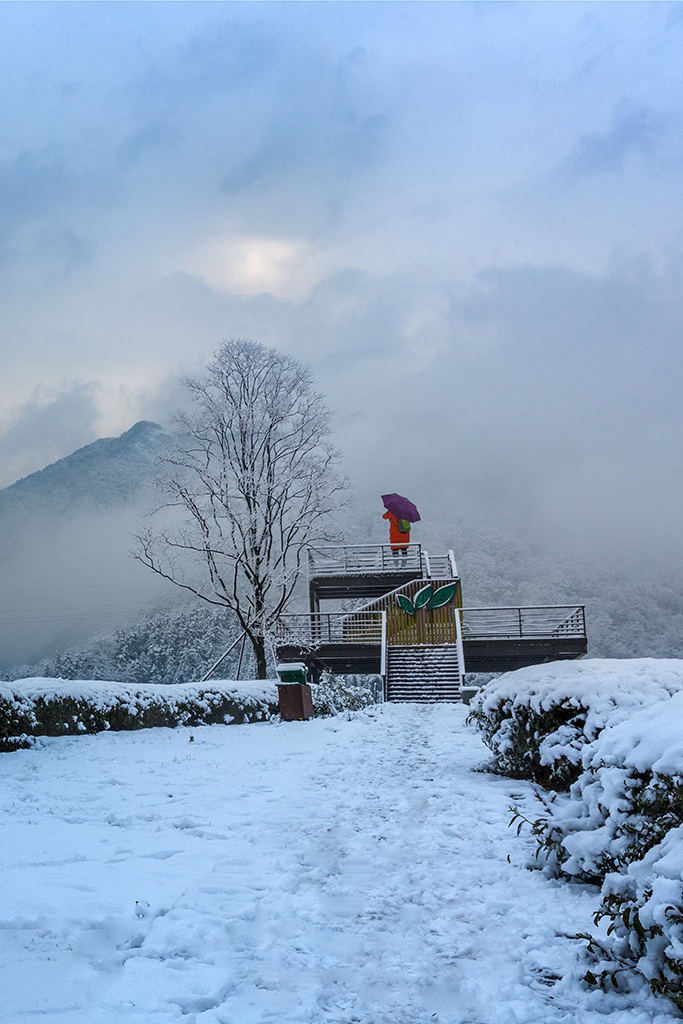 春雪 摄影 上虞鲁班