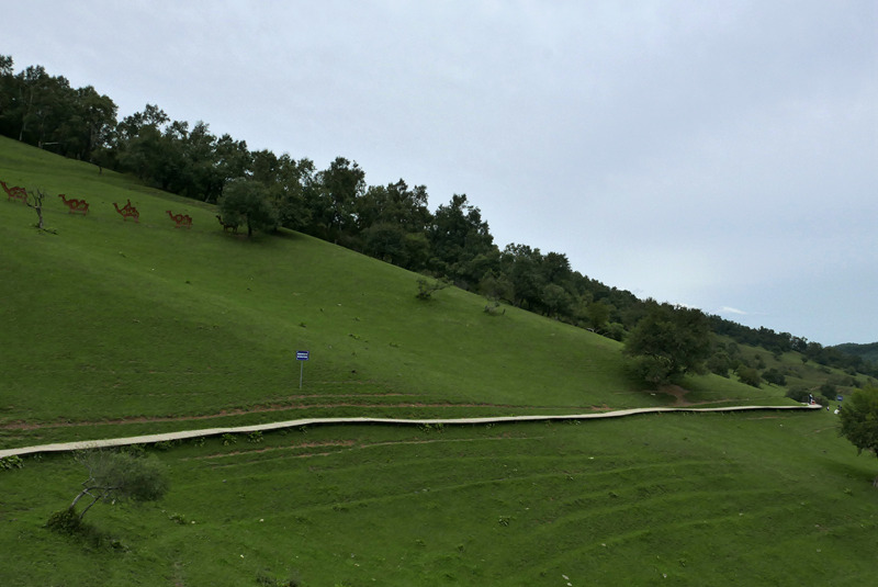 宝鸡陇县关山牧场 摄影 大山51