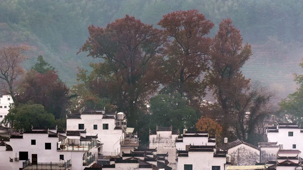 乡村秋色 摄影 景仲平