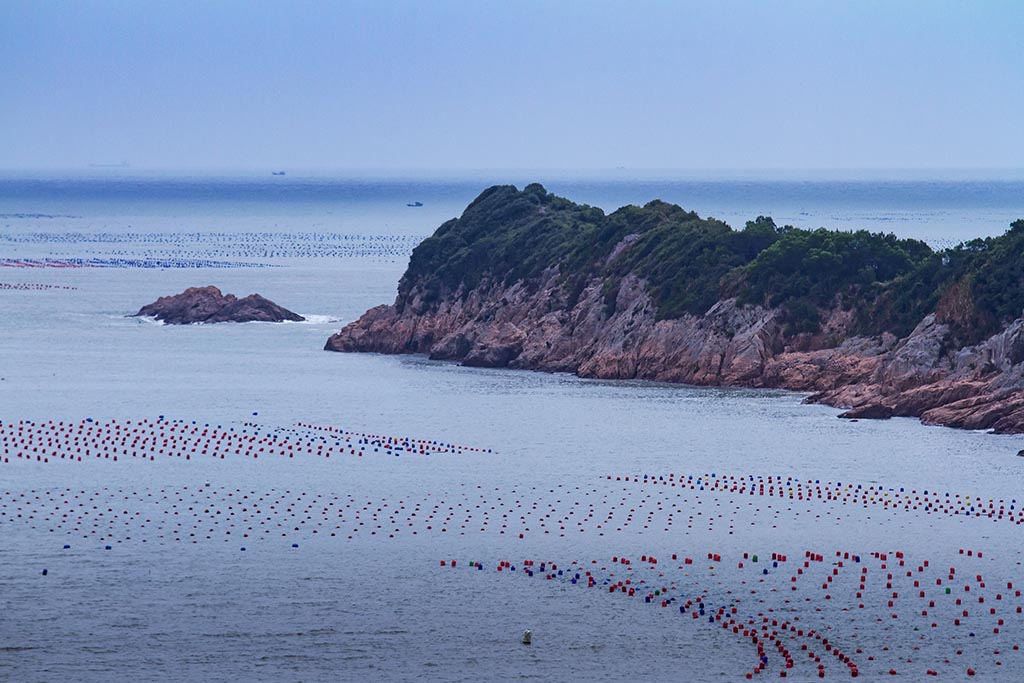 慢游霞浦（八）海湾里的财富 摄影 易胆小