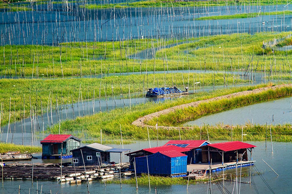 慢游霞浦（二十八）海洋牧场（5） 摄影 易胆小