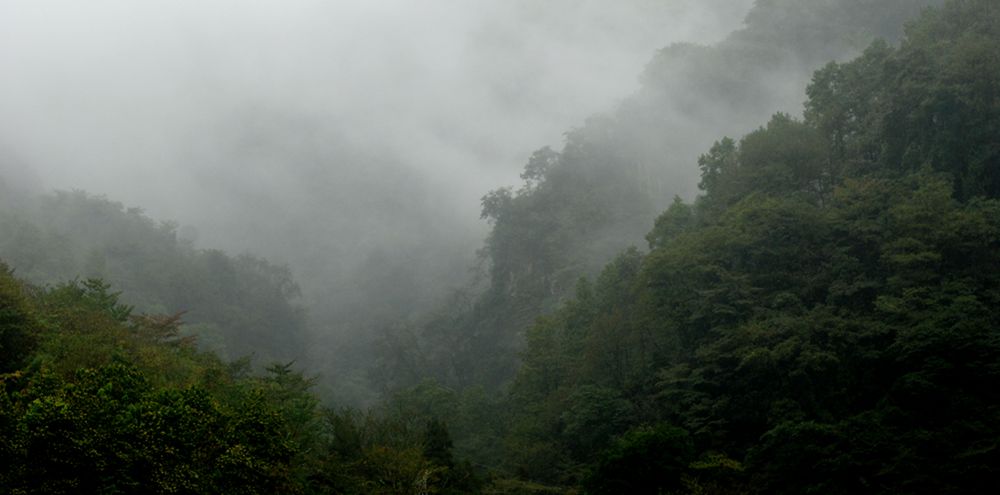 秋雨雾锁青城山 …… 摄影 老格