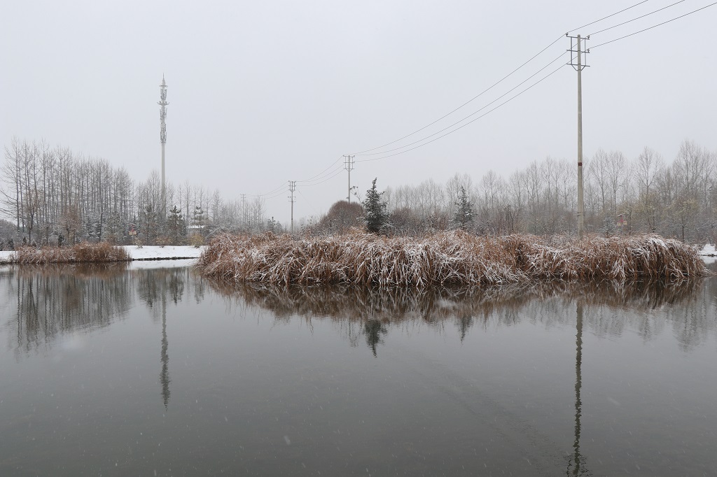 2022年的第一场雪   毛斯河畔1 摄影 远方的家园