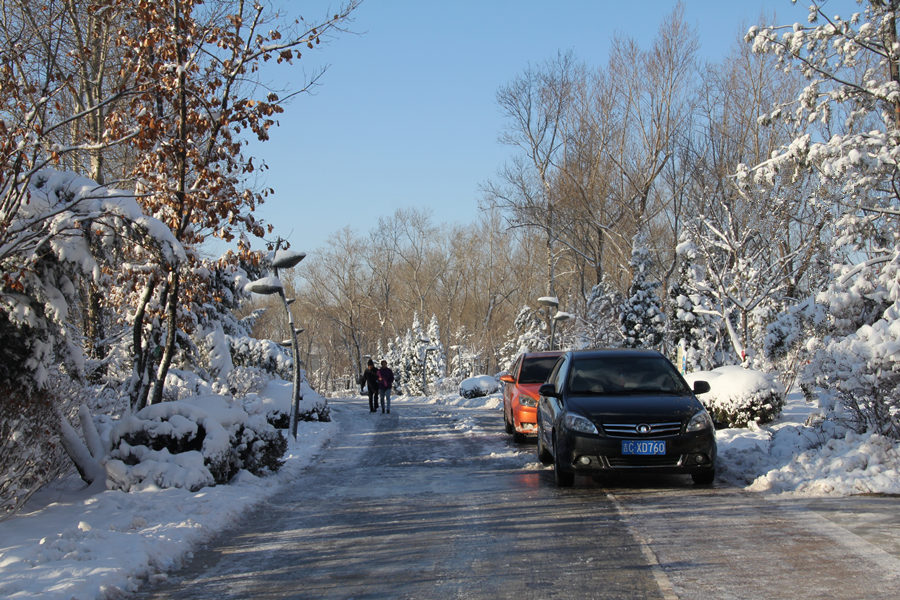 昨天下了一场大雪 摄影 付炳权