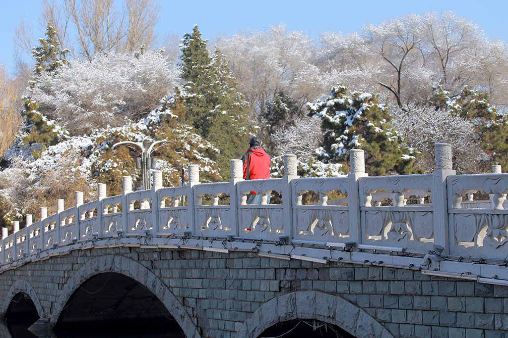 2022年抚顺初冬雪第二日 摄影 jsrh2014