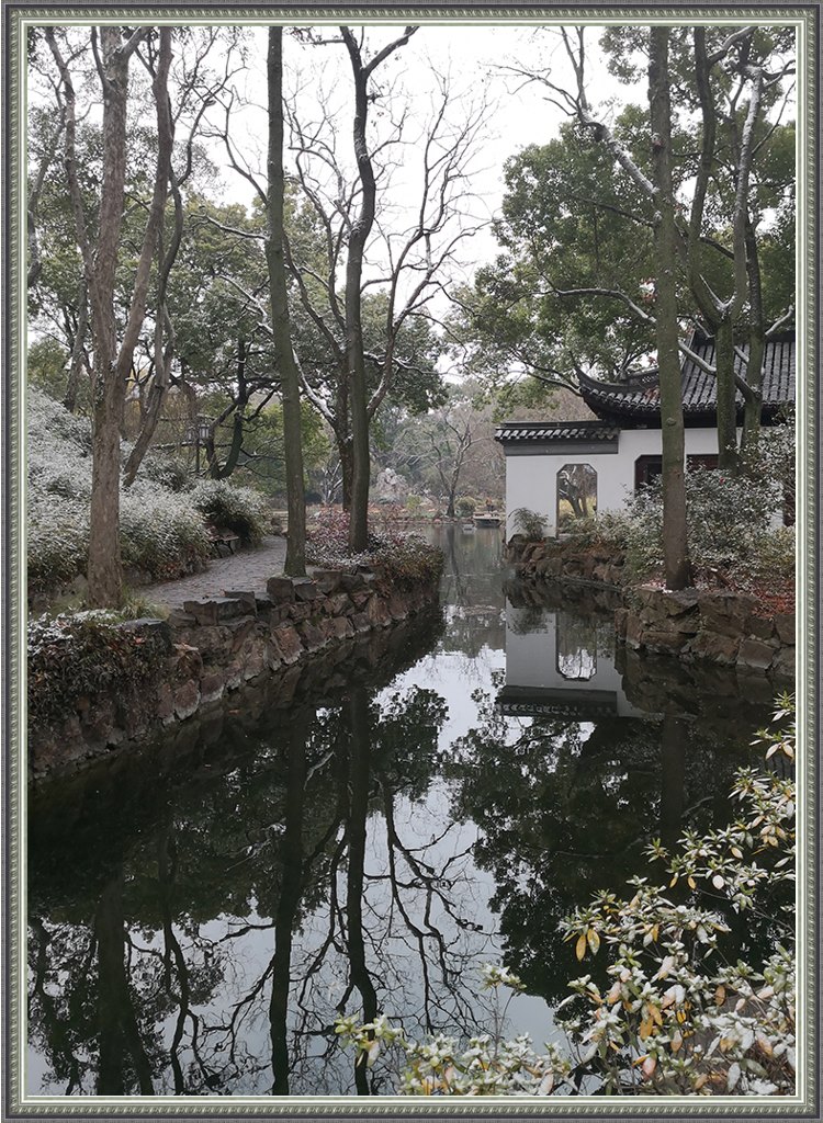 初雪 摄影 gufanyuanyin