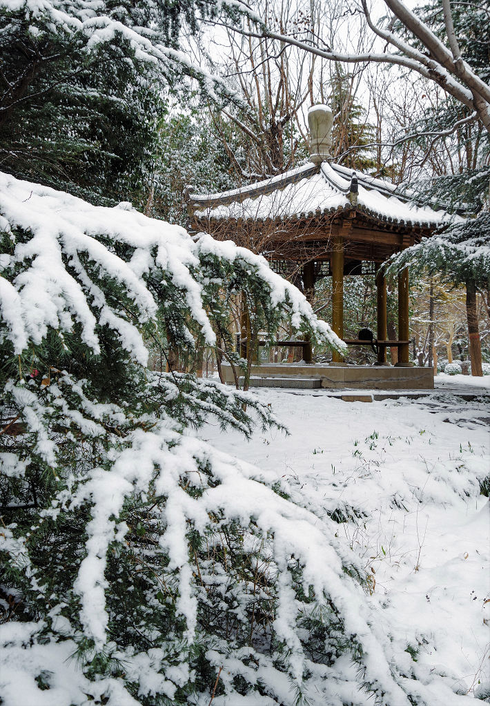 雪后静心亭 摄影 老拙