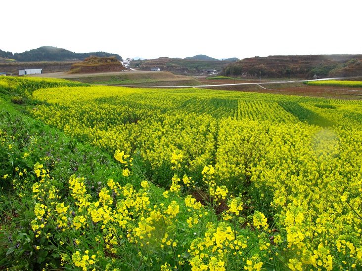 彩绘大地 摄影 天地山水