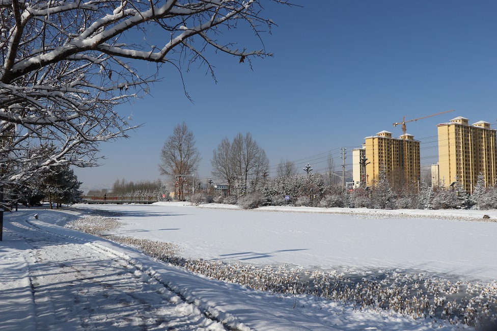 春雪 摄影 远方的家园