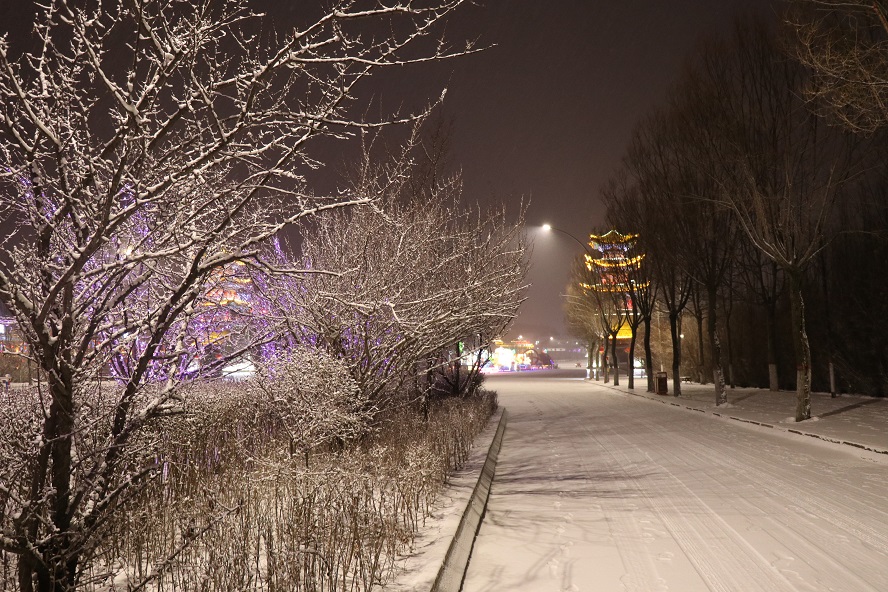 雪夜 摄影 远方的家园