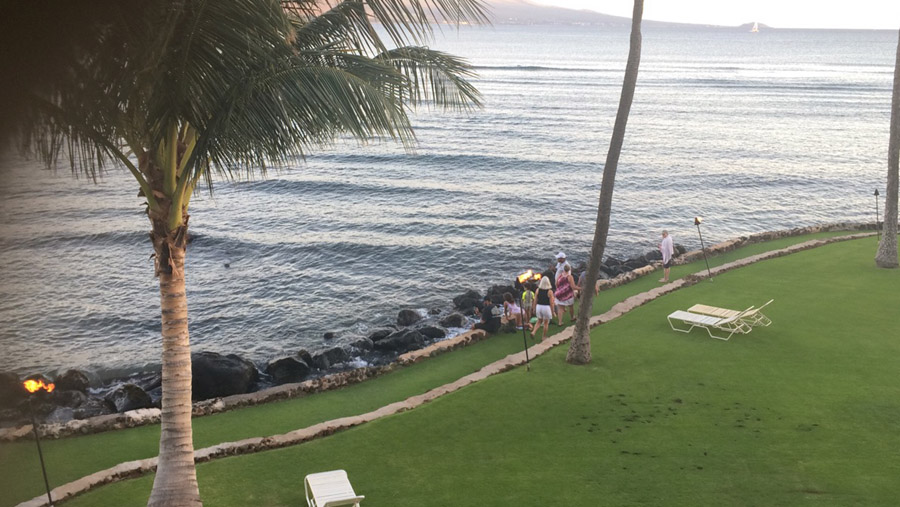 纵情夏威夷 摄影 飘逸越洋