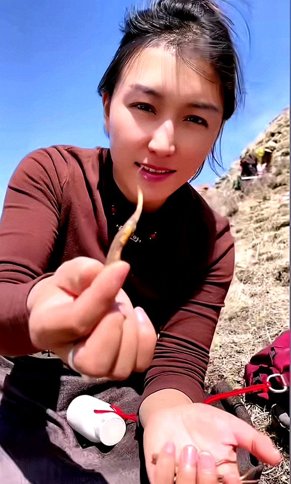 藏乡行8——找虫草的藏族美女 摄影 关河纤夫