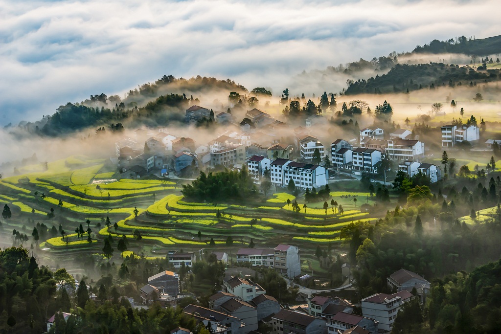 春色雾村 摄影 茗岙忠