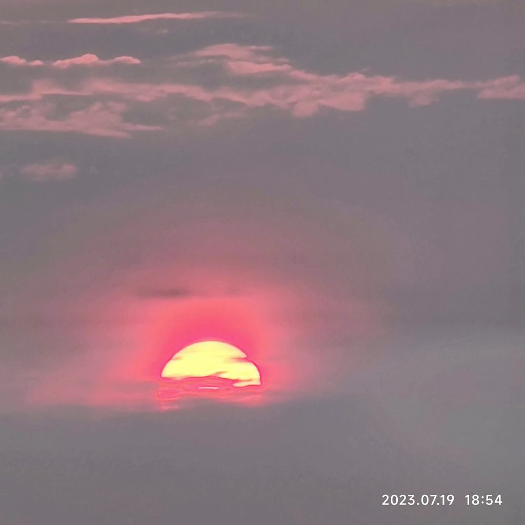 夕阳 摄影 海鸥119